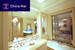 Wall-mounted bathroom mirror BEAU-RIVAGE PALACE : LAUSANNEcontemporaryrectangularwith integrated television