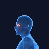 Surgery software trainingeye
