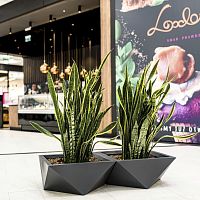 Polyethylene planter Sagittacontemporaryfor hotelfor restaurant