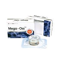 Allograft bone substitute Mega - Ossfor orthopedic surgeryrigid