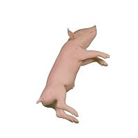 Veterinary training manikin pigpink