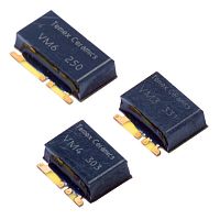 Voltage amplifier VM Series