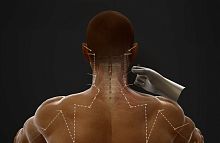 Anatomy software AcuMapfor pharmaciesvisualizationtreatment