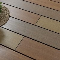 WPC deck board EXOTICSbeigeblackwood look