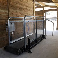 Walk veterinary treadmill for horses