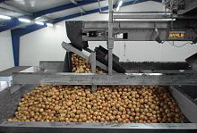Vegetable damper FDBSfor silosfor vegetablesgalvanized