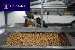Vegetable damper FDBSfor silosfor vegetablesgalvanized