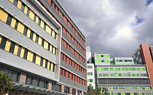 Panel cladding ROYAL NORTH SHORE HOSPITALfiber cementgrooved