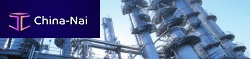 Process and instrumentation (P&ID) software SMARTPLANT® for steel structures