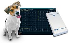 12-channel veterinary ECG system