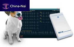 12-channel veterinary ECG system