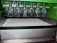 Vegetable processing line