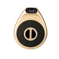 Pelvic floor stimulator PV001tabletopEMS