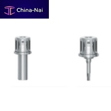 Implant abutment dental driver