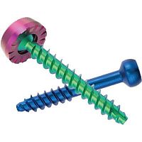 Polyaxial pedicle screw FACET FIXX®cannulatedmetallic