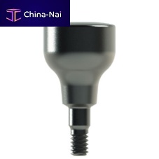 Titanium healing abutment DENTEO straight