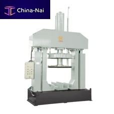Silicone extruder DYL series piston