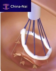 Mitral valve cardiac restoration system tricuspid valve
