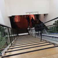 Waterproof adhesive strip NB3P / NB5Ppolyurethanefor stair treads