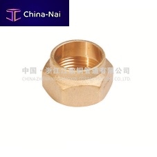 Hexagonal nut JXBA 9001brass