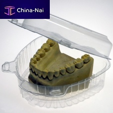Denture box BAFIX®-BOX