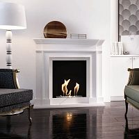 Bioethanol fireplace LEGIONIS/TUVfree-standingSingle-sidedopen hearth