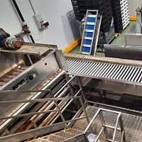 Potato processing line