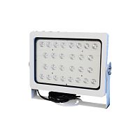 LED floodlight DS-TL2002CIP66long-life