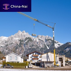 Fixed crane L1-24self-erectingfor constructionlifting