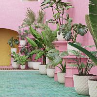 Polypropylene plant pot HAVANA TROPICALroundhome