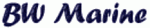 Все продукты BW Marine