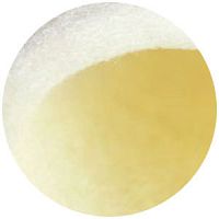 Hemostatic pad TERACEL®