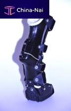 Canine veterinary orthosis Tarsusanklearticulated