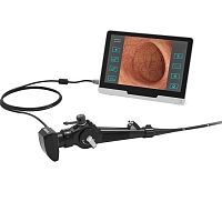 Video veterinary bronchoscope EC120for small animalsfor large animalsfor dogs