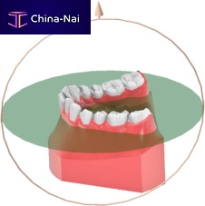 Orthodontic software Maestro 3D orthodentalanalysismeasurement