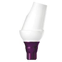Titanium implant abutment COPAEM15internalangledtemporary