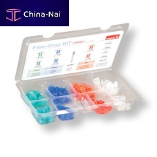 Dental polishing instrument kit 1295SO