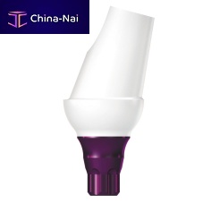 Titanium implant abutment COPAEM15internalangledtemporary