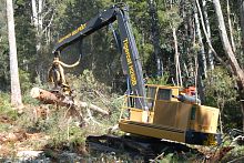 Crawler forestry harvester H250B