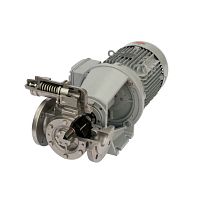 Internal-gear pump TopGear Blocfor food productsfuelmanual