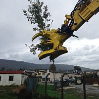 Tree shear PAT series