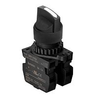 Lever switch S2SR seriesselectormultipoleIP65