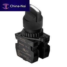 Lever switch S2SR seriesselectormultipoleIP65