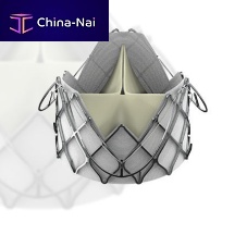 Aortic valve bioprosthesis J-Valveporcine tissuenitinolsutureless