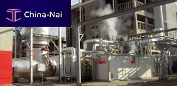 Steam boiler THD-2AK 20000hot watergasbiomass
