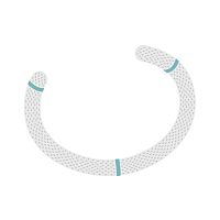 Mitral annuloplasty ring Physio Flex