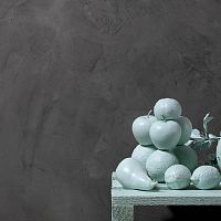 Decorative coating MARMORINfinishinginteriorwall