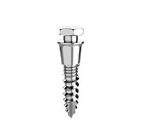 Conical dental implant 20-100metalhexagonaltapered
