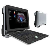 Portable ultrasound system DW-P8for gynecological and obstetric ultrasound imagingfor multipurpose ultrasound imagingfor cardiovascular ultrasound imaging