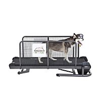 Dog veterinary treadmill Medium